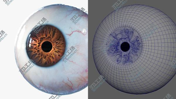 images/goods_img/20210312/3D Eye Rigged model/4.jpg